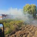 FOTO Kod Ludbrega gorjelo &ccaron;ak 20 hektara, vatrogascima su i poljoprivrednici pomogli gasiti