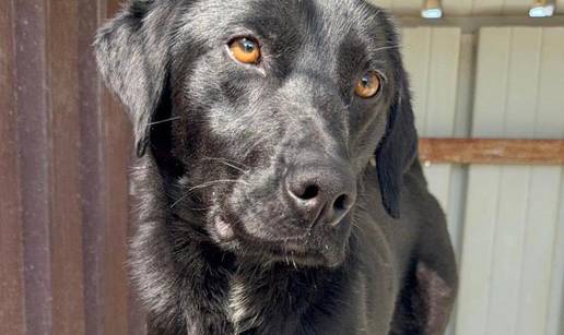 Yummy tra&zcaron;i dom: Mlada &zcaron;enka vedrog duha &ccaron;eka svoje ljude