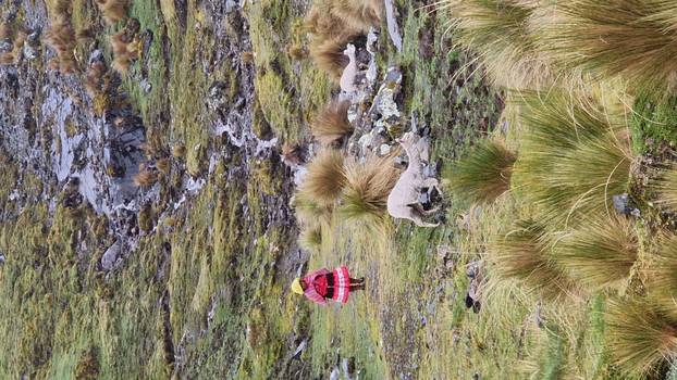 FOTO Par iz Dalmacije motorima obišao cijelu Južnu Ameriku: Pogledajte te prirodne ljepote!