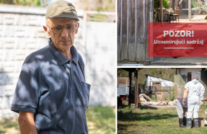 'Cijeli život uzgajam svinje. Sve su mi ih ubili. Ministrica nema pojma što se događa na terenu'