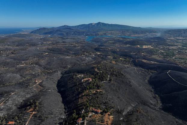 Aftermath of a wildfire in the village of Varnavas, near Athens