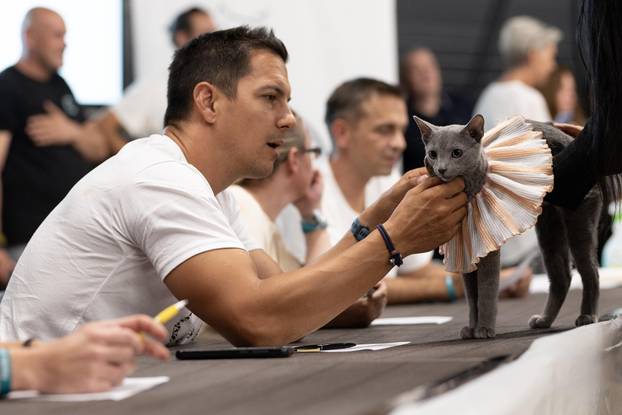 FOTO Velika izložba mačaka u Zagrebu: Predstavljene i jedinstvene modne kreacije