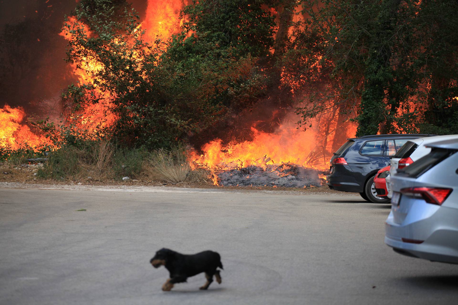 VIDEO Požar u Puli je pod nadzorom: Izgorjelo 40 hektara, uspjeli obraniti kuće