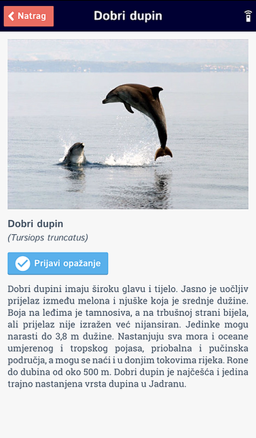 Snimite i javite gdje ste vidjeli divlje životinje u Jadranu