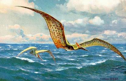 Prije 120 mil. god.: Pterosauri su imali krila od 35 metara