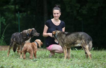Maja iz Samobora udomila dva brata psa: 14 godina bili u azilu