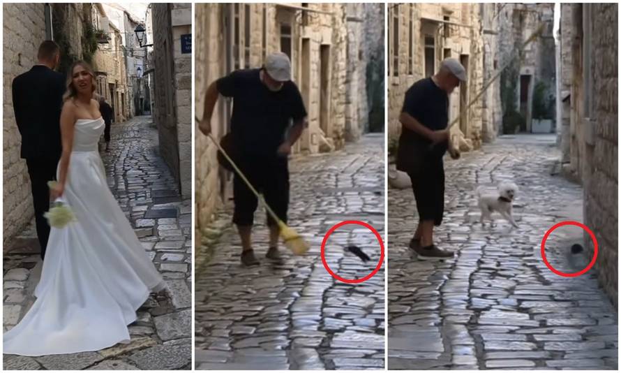VIDEO Mladenci u Trogiru našli savršeni kadar, kada je iskočio - štakor! Pa ljuti barba s metlom!