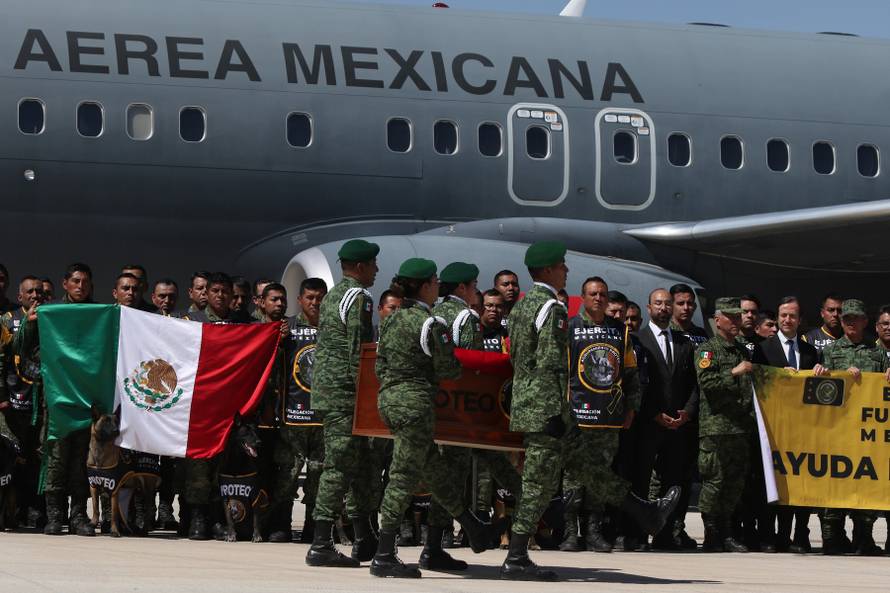 Remains of Rescue Dog 'Proteo' Arrive in Mexico