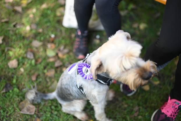 Zagreb: Ekotlon festival zelenih navika, sponzori