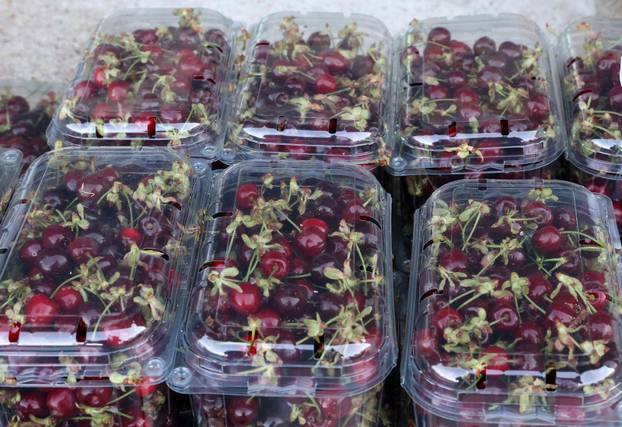 Šibenik: Stigle prve ovogodišnje trešnje po lanjskoj cijeni