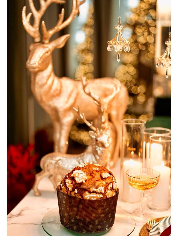 FOTO Marko Grubnić odškrinuo vrata svog luksuznog doma i pokazao kako on slavi Božić