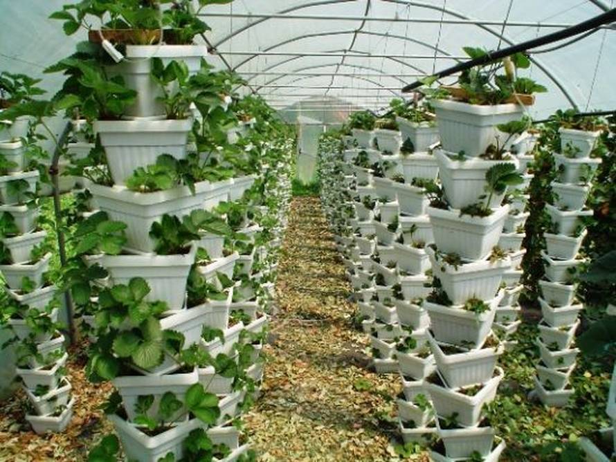 Potresne priče branitelja koji su prevareni: 'Supruga je umrla, a  sve nas sad žele baciti na cestu'