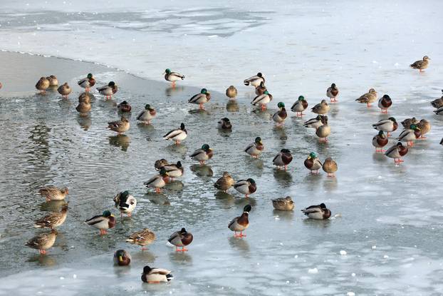 Sveta Nedelja: Zimska idila na jezeru Kipišće