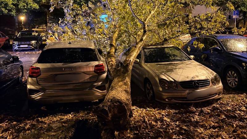 FOTO Stablo u Zagrebu palo, oštećena su tri automobila