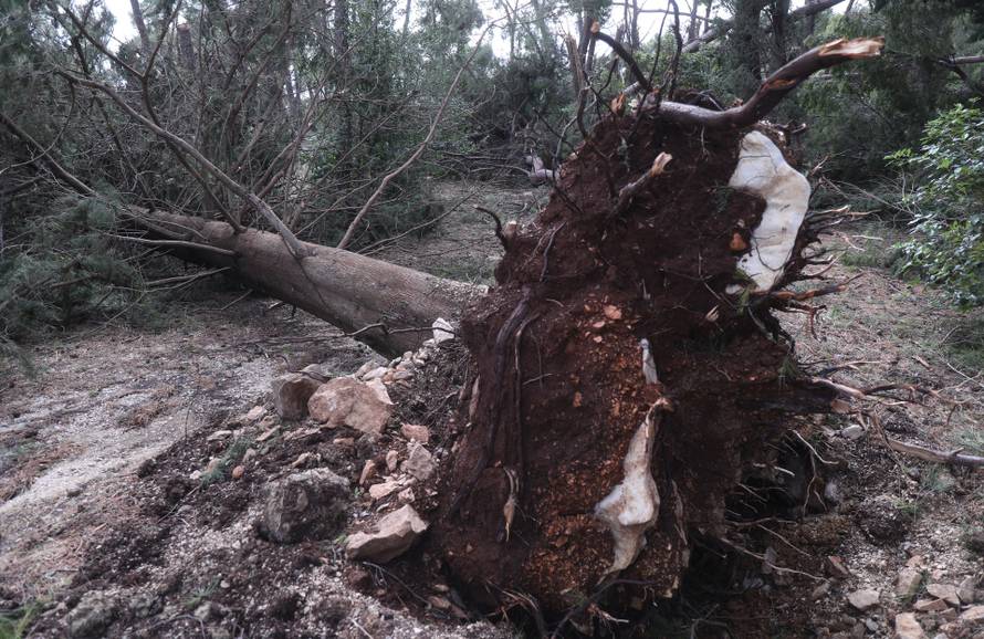 Posljedice velikog nevremena u Splitu, Marjan oštećen i zatvoren za građane