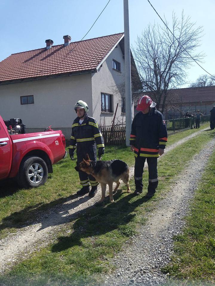 Oporavlja se vatrogaščev pas Rex: Iznenadio je i veterinara