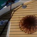 VIDEO Ulovio je opasnu kompas meduzu u moru u Puli: 'Mogu biti opasne, nemojte ih dirati'
