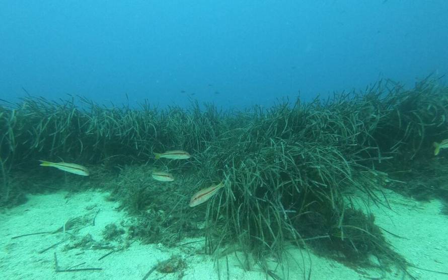 Prijavi se na foto-natječaj i pokaži nam kako Jadran izgleda kroz tvoje oči!