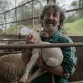 Pogledali smo Netflixovu seriju 'Animal': Pomalo bajkovita dr. Dolittle pri&ccaron;a 21. stolje&cacute;a...