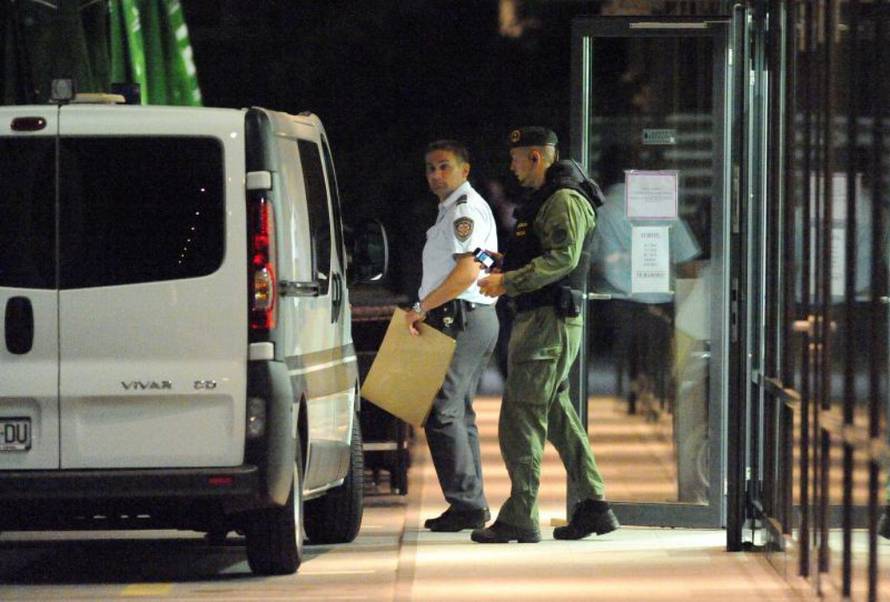 Željko Lukunić/PIXSELL