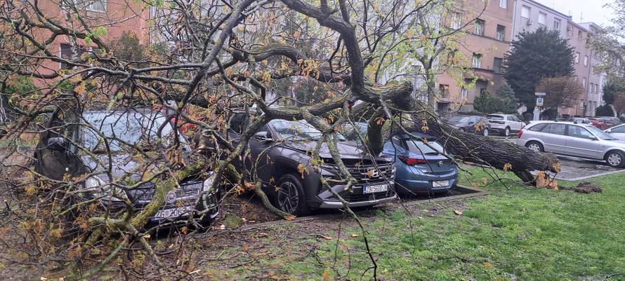 Evo koliko su vatrogasci imali intervencija zbog oluje