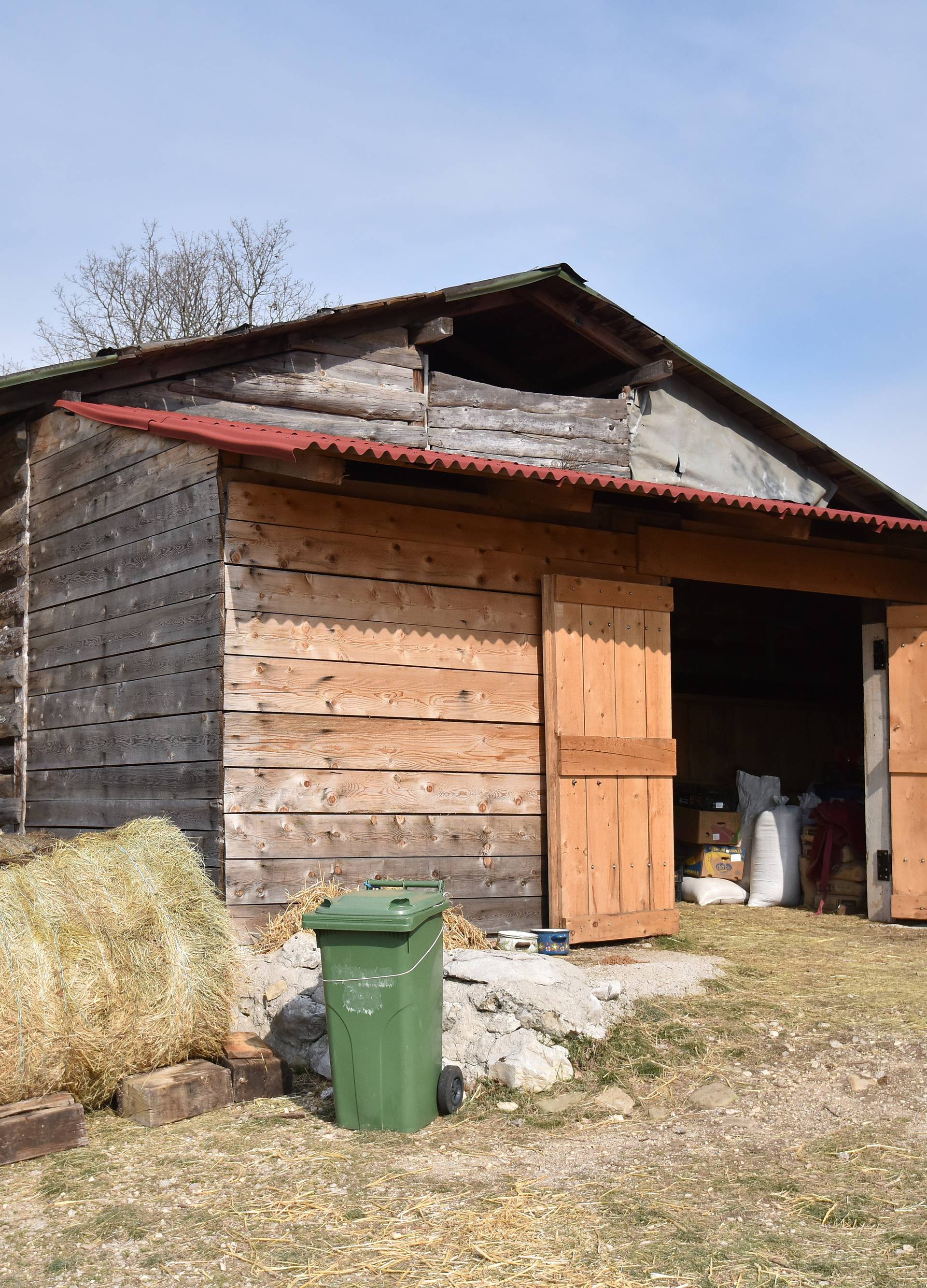 Vlasnica im poginula: 'Plačem kada vidim kako žive ovi konji'