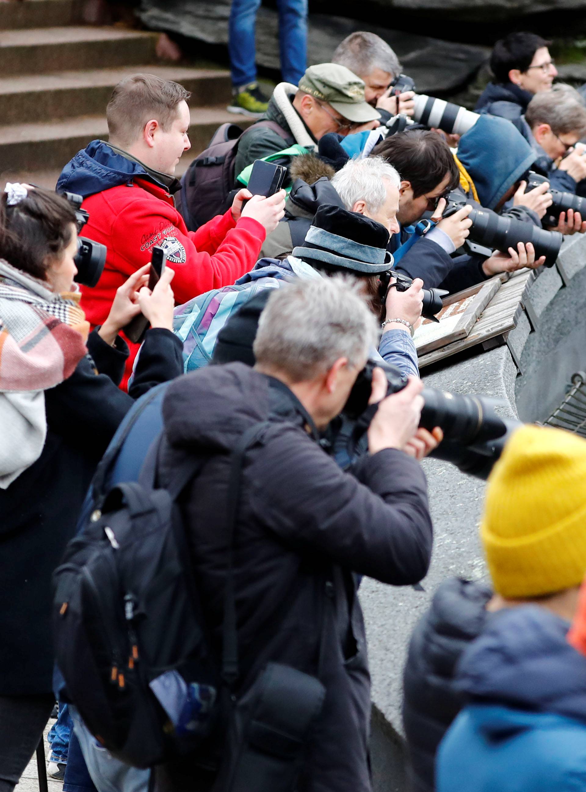 Media members take pictures as a female polar bear cub together with 9 year-old mother Tonja, is presented to the media for the first time, at Tierpark Berlin zoo in Berlin