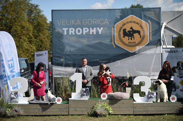 Nacionalna izložba pasa "Velika Gorica Trophy 2025"