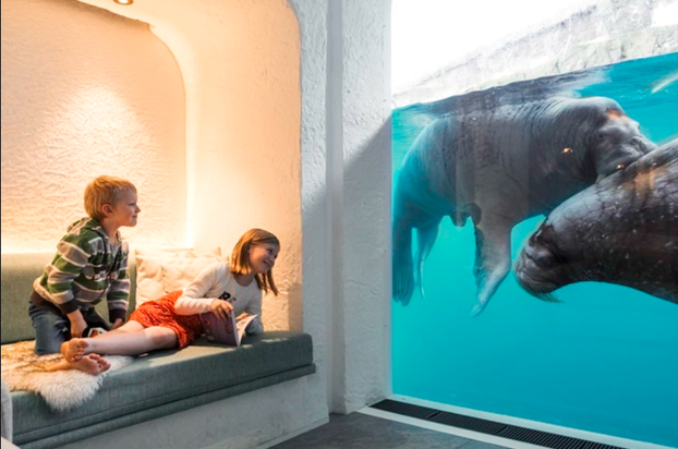 FOTO U Belgiji možete spavati u zoološkom: Evo koliko košta noć