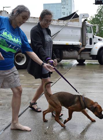 Evacuees Robin Alter and her daughter Melissa Alter walk their dog Dexter into the George R. Brown Convention Center after Hurricane Harvey inundated the Texas Gulf coast with rain causing widespread flooding