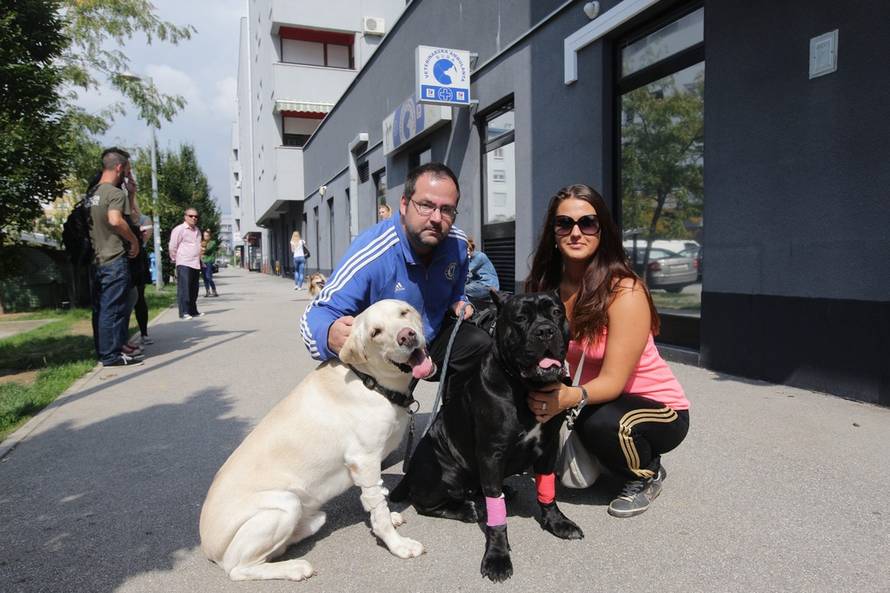 Željko Lukunić/PIXSELL