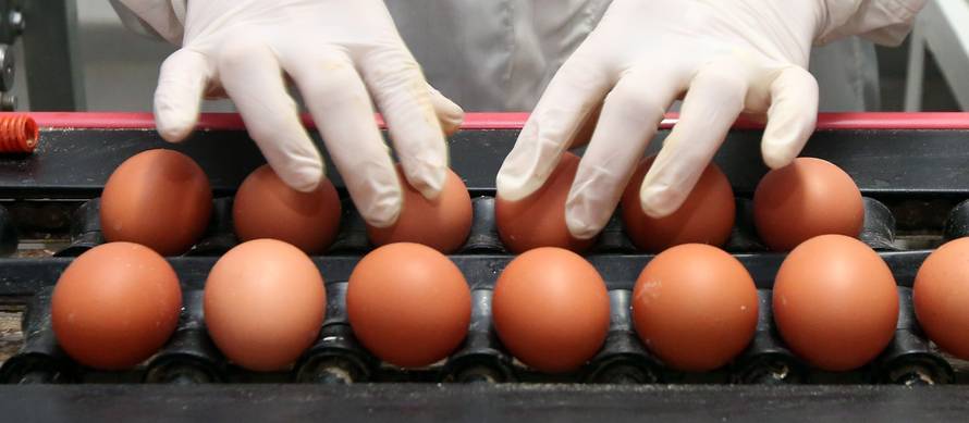 Velika inspekcija 24sata: Više na policama nema poljskih jaja