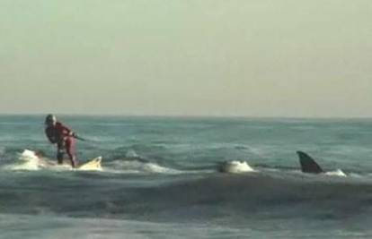 SAD: Surfer jahao valove zakačen za morskog psa