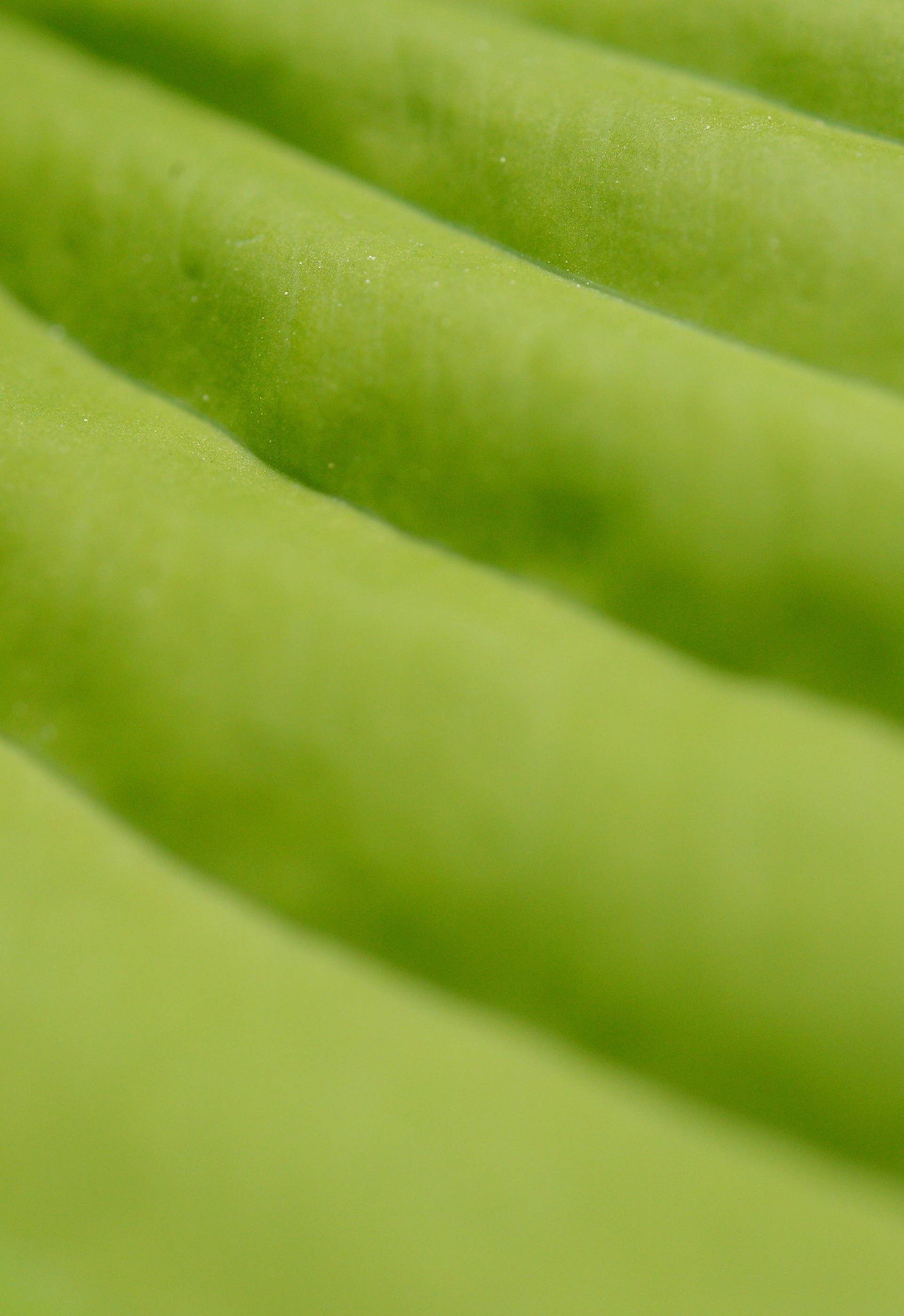 Water drops on a leaf