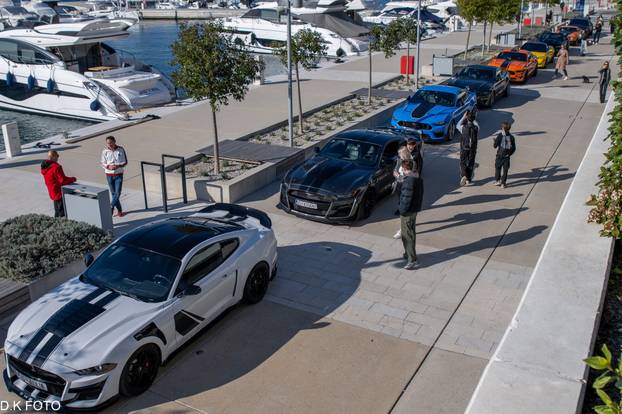 GALERIJA Kultni američki Mustanzi zablistali su u Rovinju