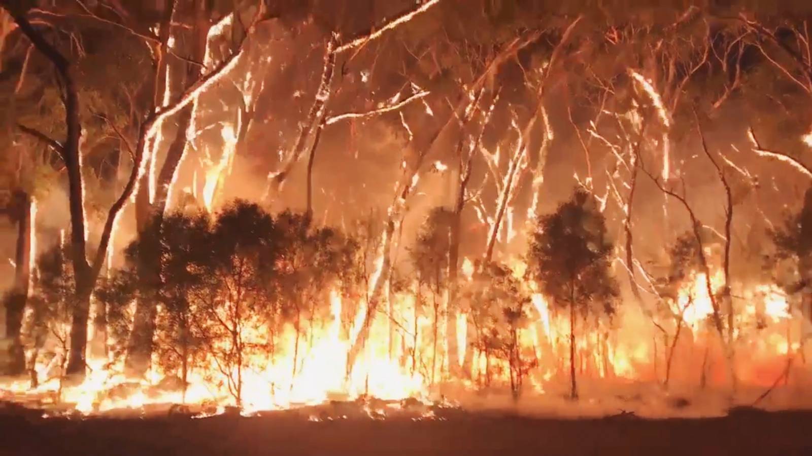 A fire blazes across bush in Newnes Plateau