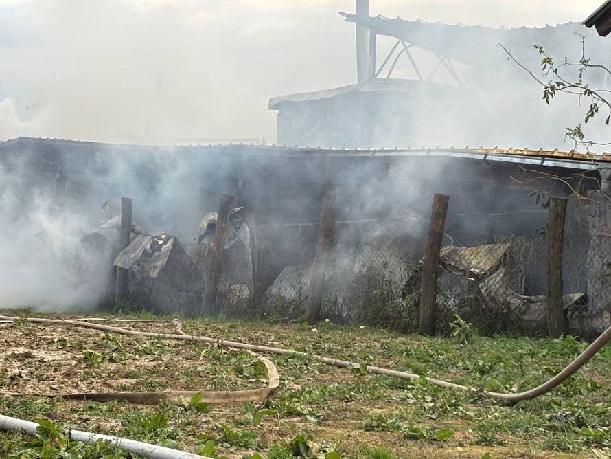 FOTO Strašne scene iz Sesveta: Požar u hali, diže se gusti dim