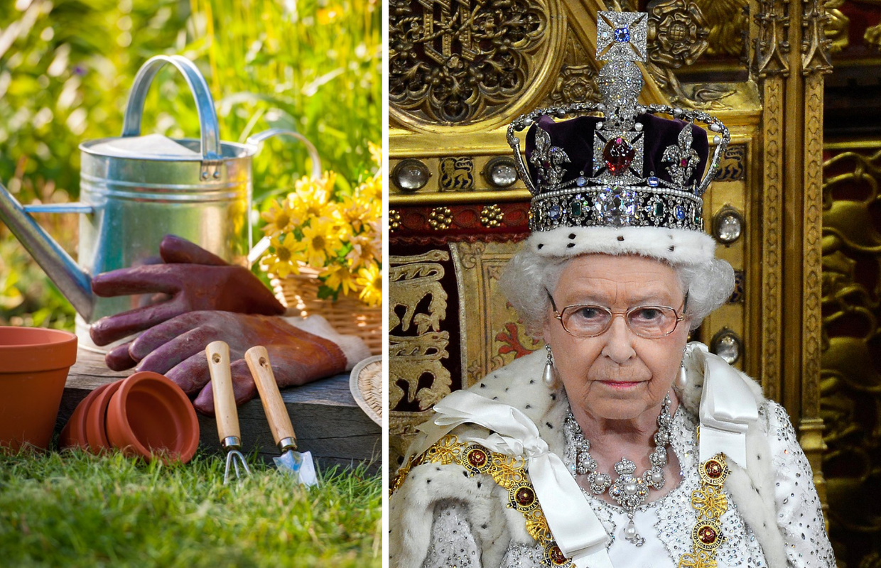 Ako maštate o životu na dvoru, evo prilike: Kraljica Elizabeta II. traži novog vrtlara u Windsoru!