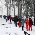 FOTO Zimska idila u Gorskom kotaru: Delnice pune izletnika, u Mrkoplju svi na sanjkanju