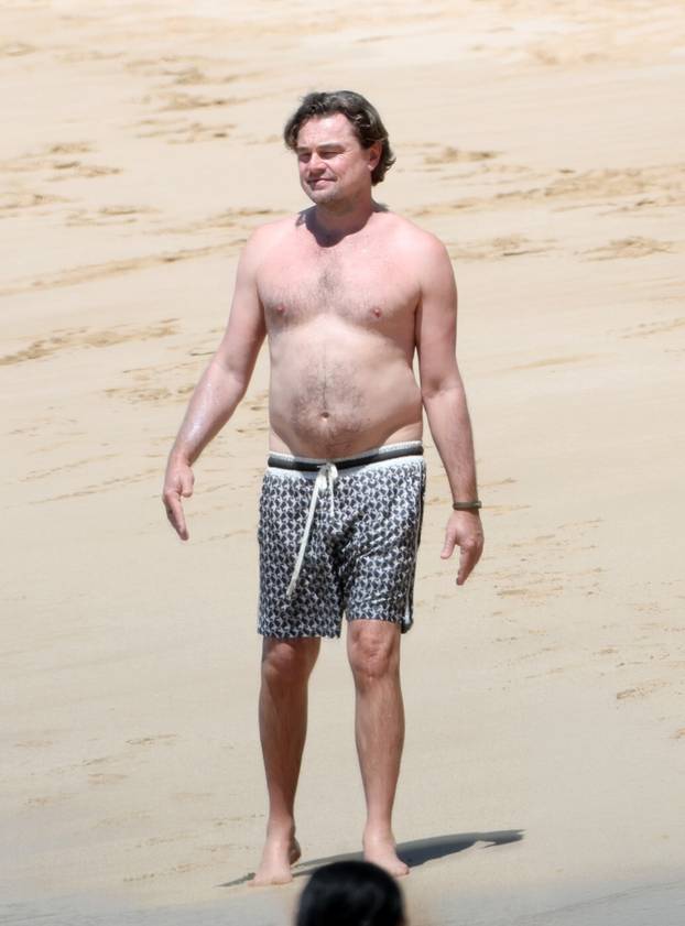 *PREMIUM-EXCLUSIVE* Love in Paradise! A Shirtless Leonardo DiCaprio and Girlfriend Vittoria Ceretti Enjoy Hawaii Getaway Ahead of Star-Studded Wedding