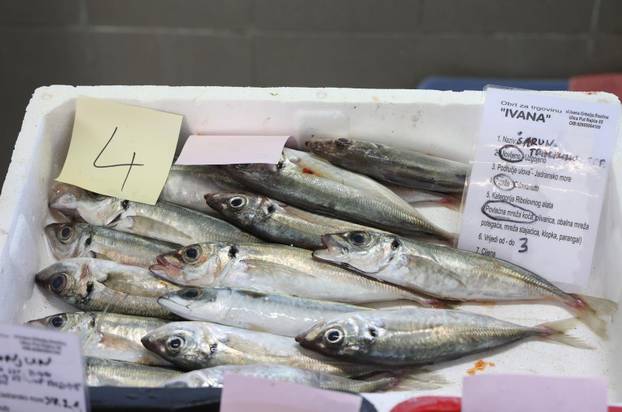 Šibenik: Ponuda ribe u šibenskoj ribarnici