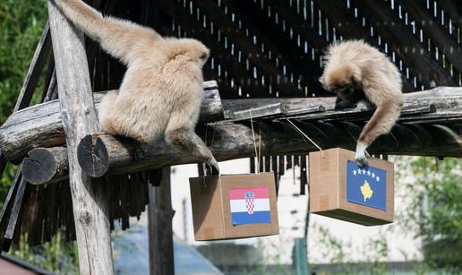 To, majmune! Gibon Kent tvrdi da će Hrvatska dobiti Kosovo...