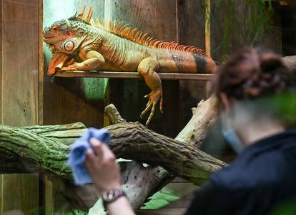 Tropski botanički vrt prepun fascinantnih životinja ponovno je otvoren za posjetitelje