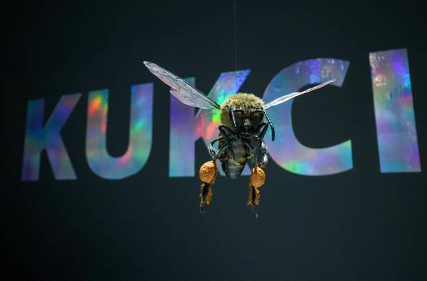 Zagreb: Završen je projekt Čuvar baštine Hrvatskog prirodoslovnog muzeja