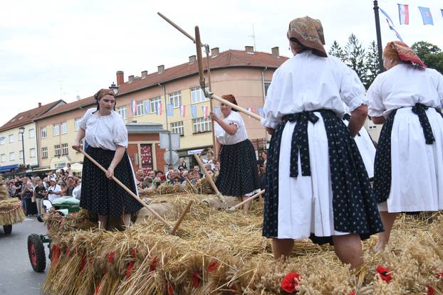 Daruvar: Obilježen je Dožinky, najveća kulturna manifestacija češke manjine u Hrvatskoj