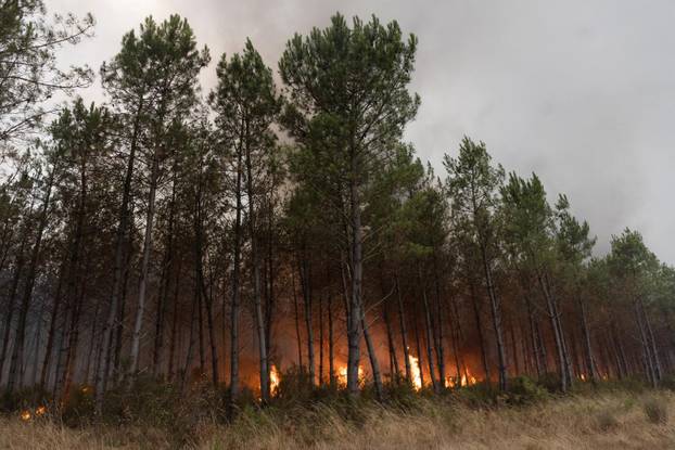 Wildfires rage in southern France