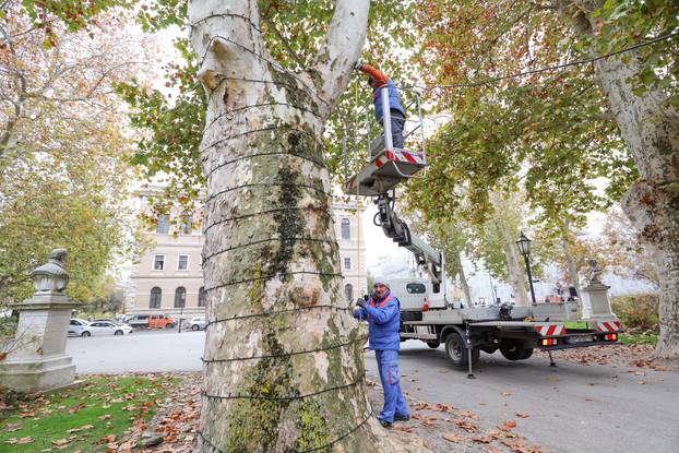 Zagreb: Zasvjetlile prve adventske lampice u parku Zrinjevac