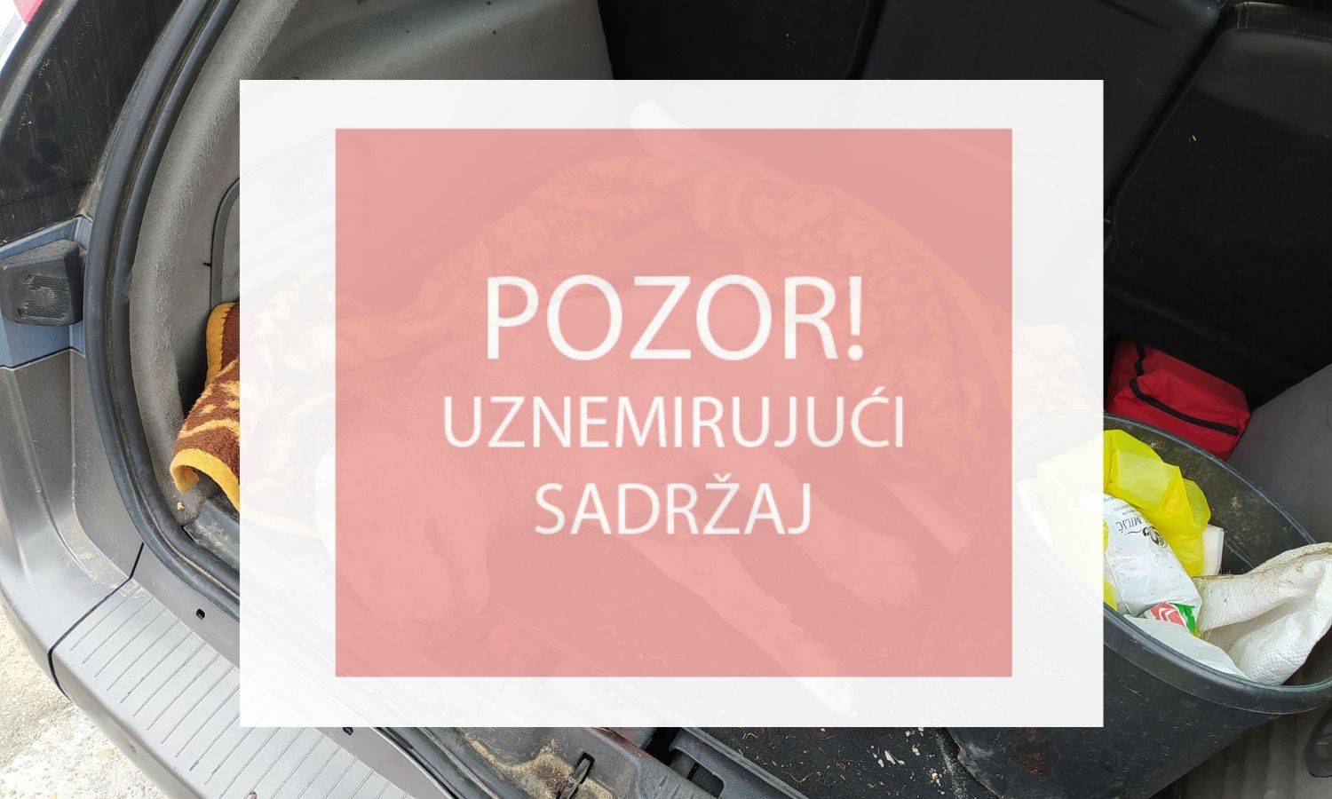 'Naš Kličko je udaren po glavi i izboden 37 puta. Umirao je blizu nas, a nismo mu mogli pomoći'