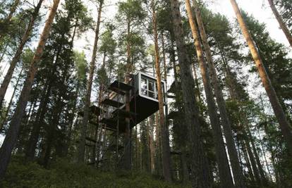 Izgradili ekološki hotel sa sobama na stablima u šumi