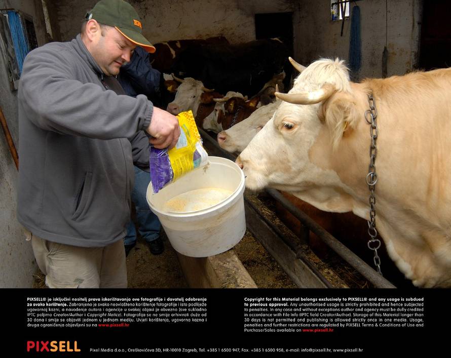 Ivica Galović/Pixsell